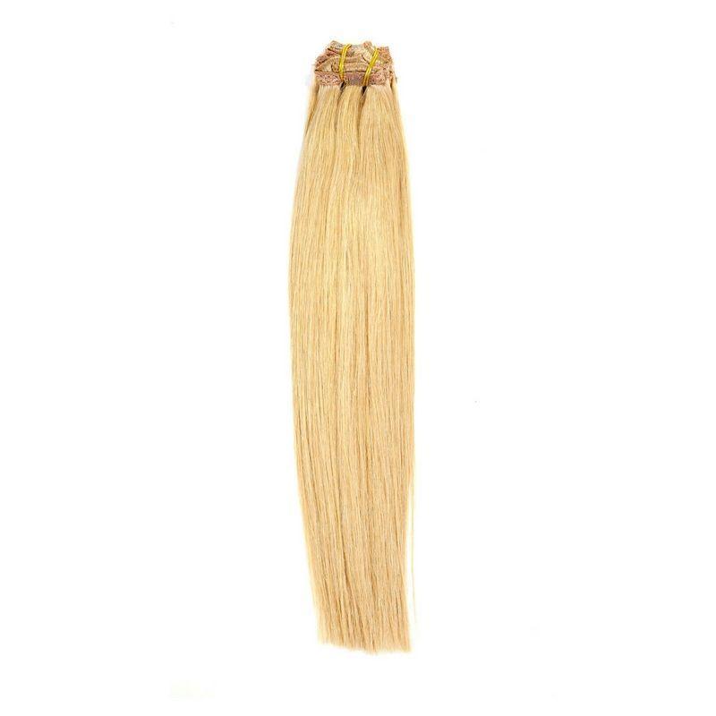 Dirty Blonde Clip-in