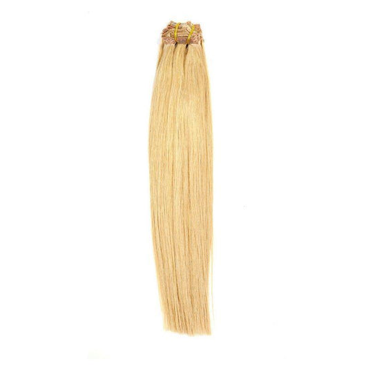 Dirty Blonde Clip-in